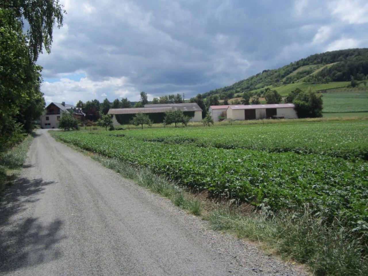 Ferienwohnungen Maintal Karlstadt Exteriör bild